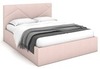 Newtone flamingo
